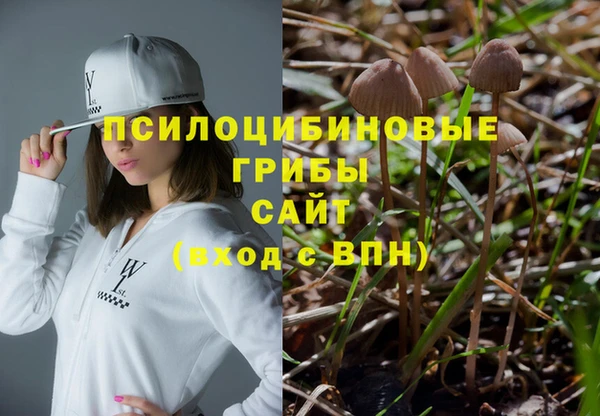 2c-b Белоозёрский