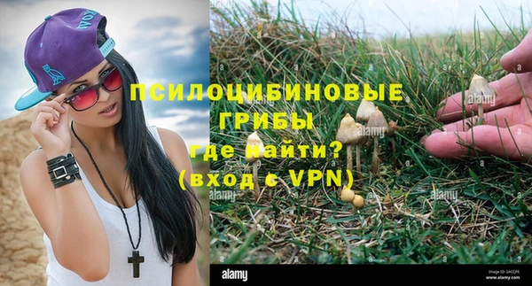 круглые Белокуриха